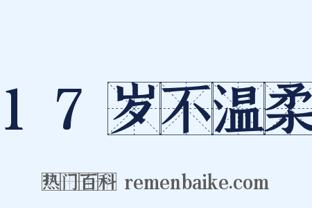 17岁不温柔是什么意思的图片